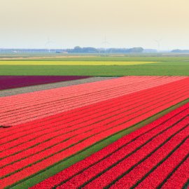 Velikonoce Amsterdam